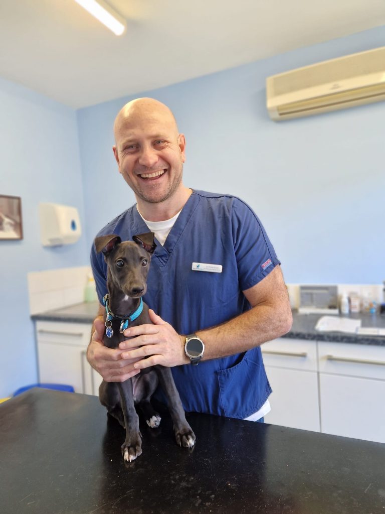 Dr Philip Simon Lead Vet at Your Family Vets Serving Harrogate and Knaresborough